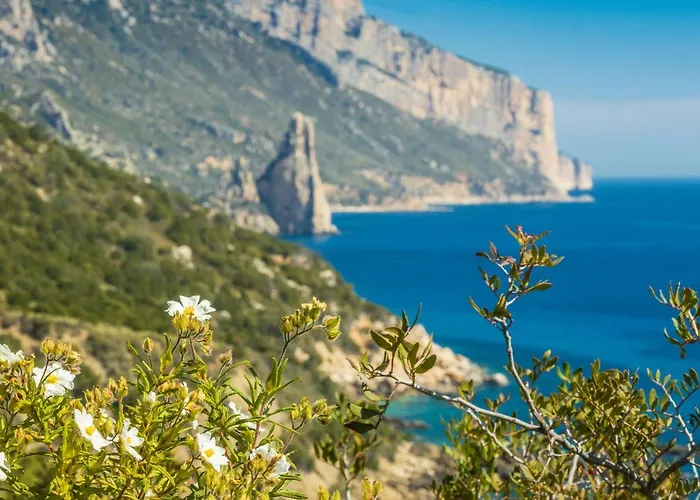 Bellavista Bed and Breakfast Santa Maria Navarrese
