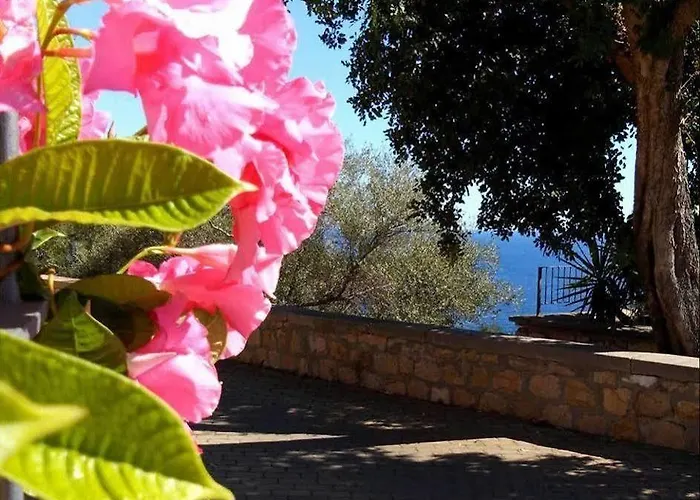 Bed and Breakfast Bellavista 3*