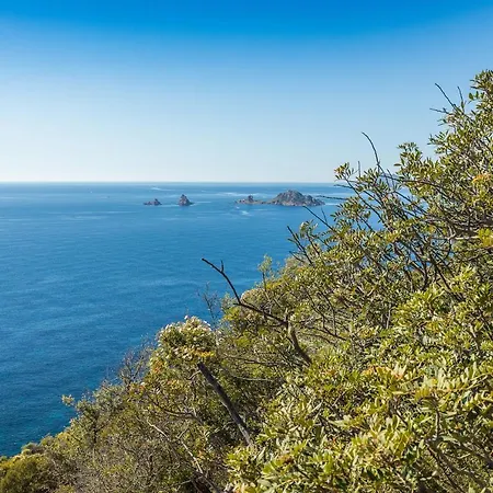 Bed & Breakfast Bellavista Santa Maria Navarrese