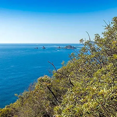 Bellavista